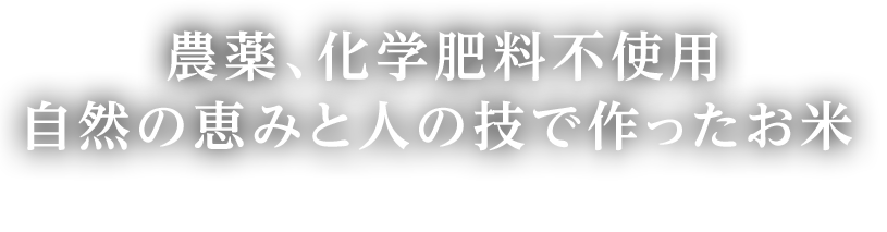 農薬、化学肥料不使用　自然の恵みと人の技で作ったお米